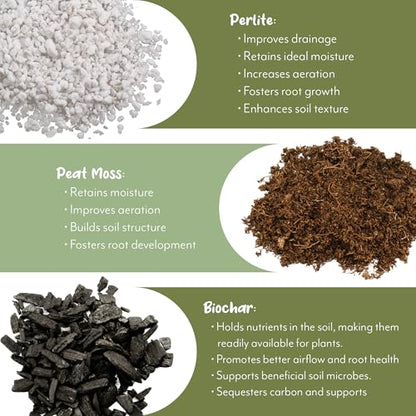 Soil Sunrise Terra-Preta Inspired Potting Soil (12 Quarts) Biochar-Enriched Sustainable Mix for Indoor/Outdoor Plants - size: 12 Quarts