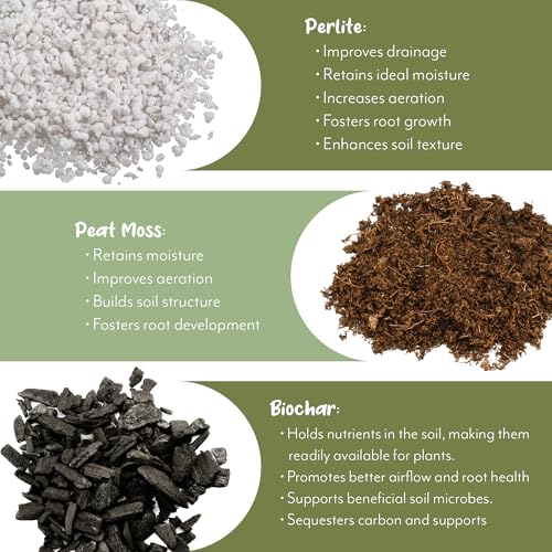 Soil Sunrise Terra-Preta Inspired Potting Soil (4 Quarts) Biochar-Enriched Sustainable Mix for Indoor/Outdoor Plants - size: 4 Quarts