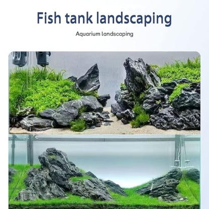 Dragon Stone Aquarium Rock Seiryu Stone for Aquariums, Fish Tanks, Bonsai, Terrariums, Wargaming Dioramas, Indoor or Outdoor Gardens-40lb(2-10 Inch) - size: 40Lb（2-10inch）