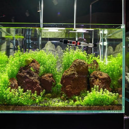 Fish Tank Aquarium Heater - Adjustable Temperature Submersible Thermostat Heater,25W/50W/100W/150W/200W/300W - size: 200W