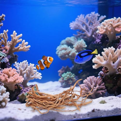 Hemoton Aquarium Driftwood - Natural Wood Driftwood Branches - Fish Tank Habitat - Reptile Climbing Branch for Shrimp Fish Tank Stump Ornament