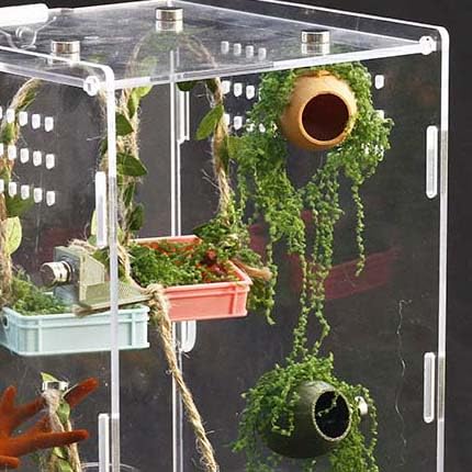 4Pcs Jumping Spider Enclosure Accessories Cocoon-Shaped Jumping Spider Hideaway with Artificial Moss and 1 Pcs Resting Platform Magnetic Small Animal Shelter Toy (Army Green) - color: Army Green