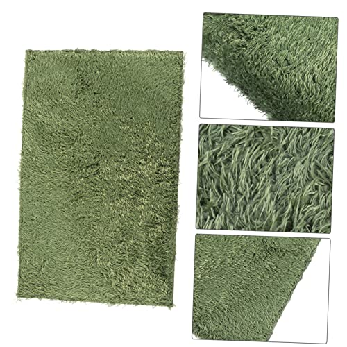 Kisangel 2pcs Moss Reptile Carpet Mat for Lizard and Tortoise Moisture Retaining Terrarium Substrate Non-Adhesive Simulation Carpet for Reptile Habitat