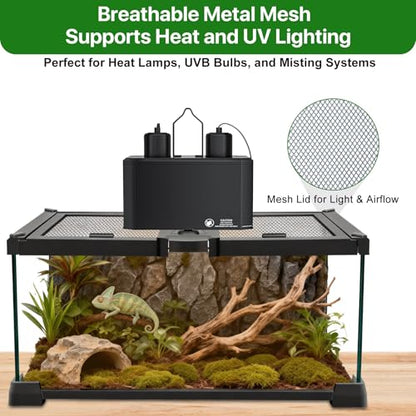 Reptile Terrariums Mini Glass Tank 12" x 8" x 6" Habitat, Top-Opening Mesh Lid with Latch, 360° Clear View, Ventilated Enclosure for Jumping Spiders, Tarantulas, Isopods & Froglets
