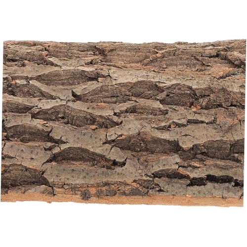 SUPVOX 2Pcs Cork Tile Background for Reptiles Natural Bark Terrarium Backdrop Wall Decor Versatile Habitat Decor for Gecko Lizard Bearded Dragon Turtle Snake