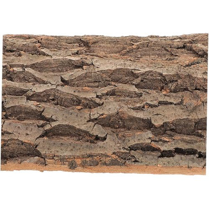 SUPVOX 2Pcs Cork Tile Background for Reptiles Natural Bark Terrarium Backdrop Wall Decor Versatile Habitat Decor for Gecko Lizard Bearded Dragon Turtle Snake