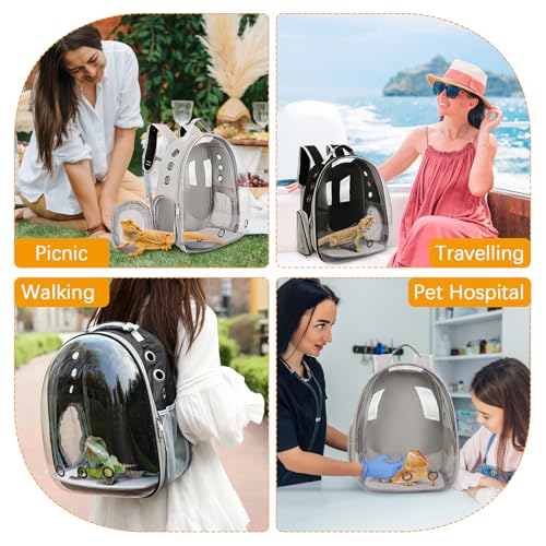 kathson Bearded Dragon Carrier with Harness and Leash Set, Large Reptile Travel Carrier Portable Lizard Backpack Clear Small Animals Carrying Bag for Gecko Hamster Rabbit Hedgehog Kitten (Black) - color: Black