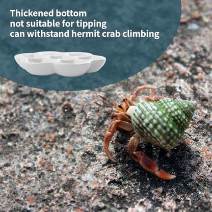 5.51" Hermit Crab Ceramic Food Dish,7 Compartments Ceramic Anti-Turning Food & Water Bowl for Hermit Crab Tarantula Snail - size: 6 inch