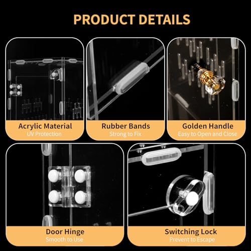 Acrylic Reptile Terrarium Easy Assembly, 360° Clear & Keep Pet Secure Design for Jumping Spiders, Tarantulas, Geckos Scratch-Resistant Large Ventilated Habitat Terrarium for Arachnids 9.8*5.9*5.9in - size: Medium-9.8*5.9*5.9in
