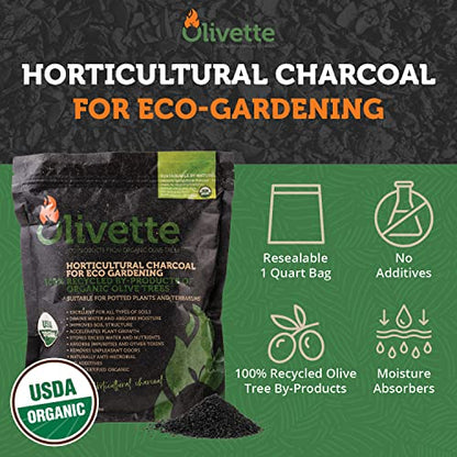 OLIVETTE Organic Biochar Activated Charcoal for Plants, 1 Bag | USDA Horticultural Charcoal, Moisture Control For Terrariums & Potted Plants, Biochar Soil Additive For Gardening - size: 1 Bag