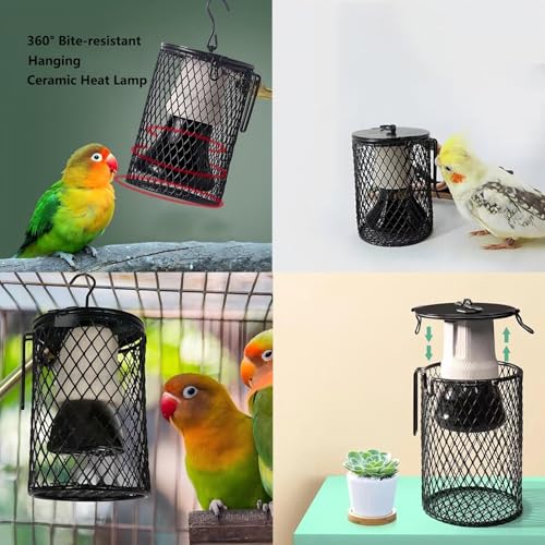 Playful Paws Ceramic Lamp and Lampshade Bird Heaters for Caged Birds with 50W Reptiles Heat Lamp Bird Warmer and Rabbit Hutch Heater (Push Switch) - color: Push Switch