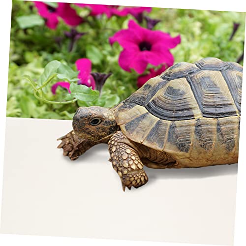 Reptile Carpet Terrarium Liner for Gecko Tortoise Bearded Dragon Snake Washable Reptile Bedding Mat