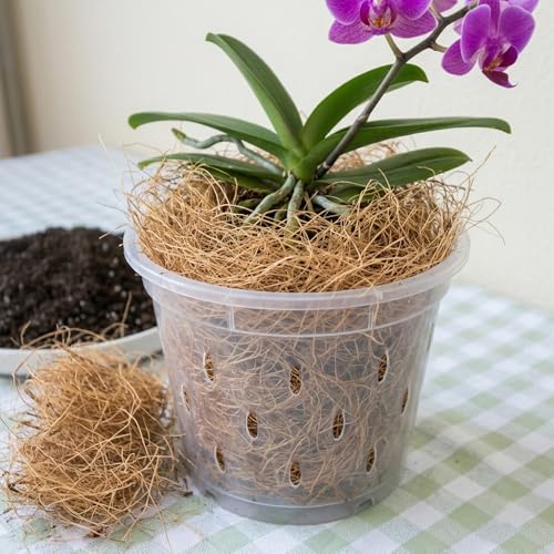Natural Coconut Husk Fiber Organic Pure Coconut Husk Silk for Plants Coco Coir Fiber Substrate Loose & Fluffy Non-Vacuumed Easy to Separate for Orchids 3.5 Oz (100g) - size: 100g