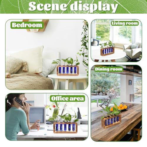 Glass Plant Propagation Station with 5 Test Tubes Colorful Planter Vase Birthday Gifts for Women in Wooden Stand - color: Blue