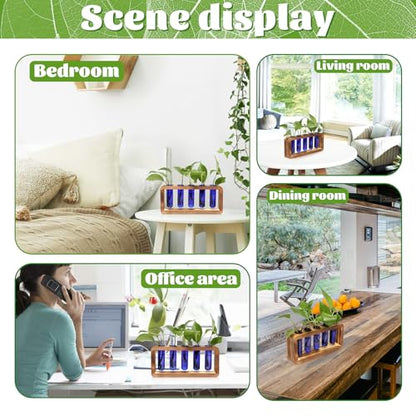 Glass Plant Propagation Station with 5 Test Tubes Colorful Planter Vase Birthday Gifts for Women in Wooden Stand - color: Blue