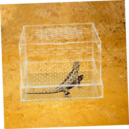 POPETPOP Acrylic Feeding and Hatching Container for Reptiles and Insects Portable Case Lid for Spiders Geckos and Crickets Breeding Habitat for Pet Observation