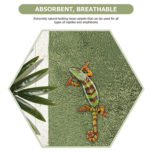 POPETPOP 2pcs Turtle Snake Gecko Terrarium Carpet Reptile Mat for Iguana Chameleon Rabbit Washable Odorless Soft Absorbent Terrarium Liner