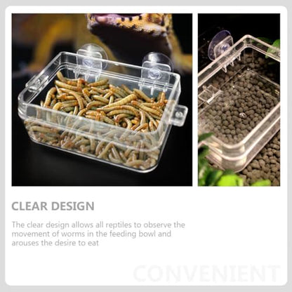 LIOOBO Lizard Feeding Bowl with Suction Cup Durable Transparent Reptile Feeder Dish for Easy Cleaning and Secure Feeding for Geckos and Small Reptiles