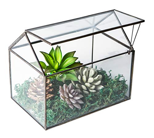 House Shape Close Glass Geometric Terrarium Tabletop Succulent Plant House Garden Planter Moss Fern Swing Lid, Flower Pot for Plants Succulent, Air Plant (Black) - color: Black