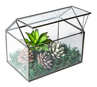 House Shape Close Glass Geometric Terrarium Tabletop Succulent Plant House Garden Planter Moss Fern Swing Lid, Flower Pot for Plants Succulent, Air Plant (Black) - color: Black