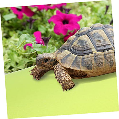 BESPORTBLE Leopard Gecko Bearded Dragon Snake Terrarium Liner Reptile Carpet Eva Pet Substrate Mat - color: Light Green