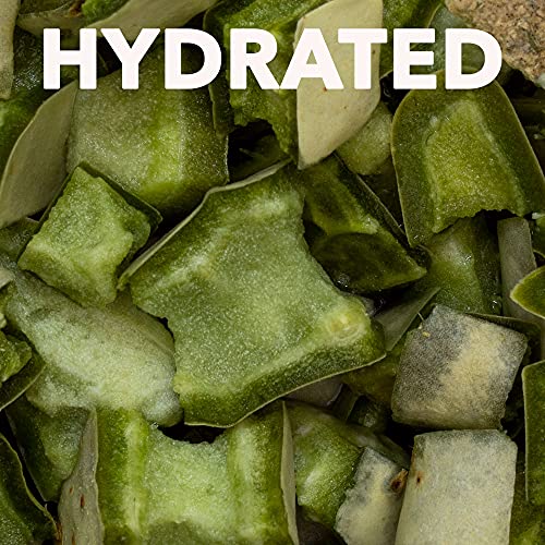 Healthy Herp Tortoise Treat Cactus, Nutritious Turtle Food - 0.25 oz (7.1g) | All Natural, Bearded Dragon Tank Accessories, Tortoise Habitat - for Bearded Dragons, Box Turtles, Aquatic Turtles