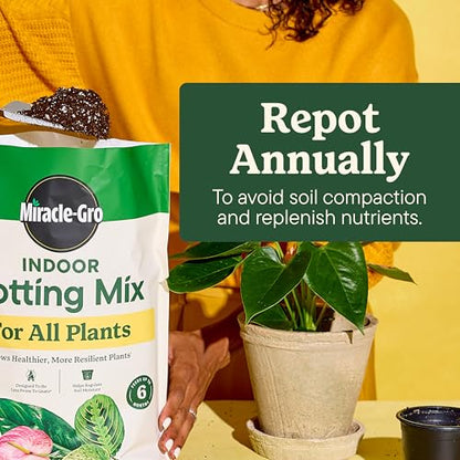 Miracle-Gro Indoor Potting Mix (6 qt.) and Plant Food (8 fl. oz.) for All Plant and Plant Care Leaf Protect & Shine (8 fl. oz.) - Bundle for Growing, Fertilizing, Protecting and Cleaning Houseplants - size: 6 qt (Care Bundle), style: 6 QT