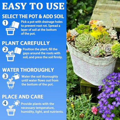 Halatool 6QT Indoor Potting Soil for Plants Orchid Potting Mix Garden Top Succulent Bonsai Soil for Aloe Vera Houseplants Flowers Vegetables & Herbs - size: 6 qt