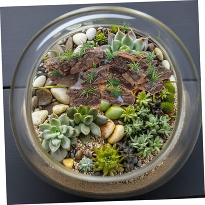 ORFOFE 20pcs Natural Cork Bark Terrarium Background for Reptile Tank Aquarium Decoration Authentic Tree Bark Reptile Hide Lightweight Climbing and Hiding Accessory for Snake Lizard