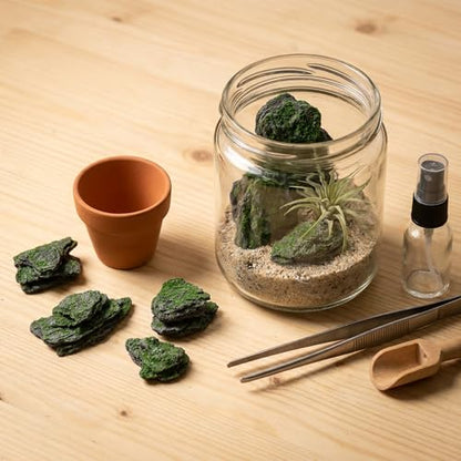Miniature Moss Stones for Terrarium - Tree Bark Diorama Rocks for Miniature Terrain Display - Lightweight Reptile Habitat Decor - NOT for Aquarium Underwater Use - 12 Pcs Moss-Covered (1-2 inch) - style: 12P Moss Slate Rocks (Wooden)