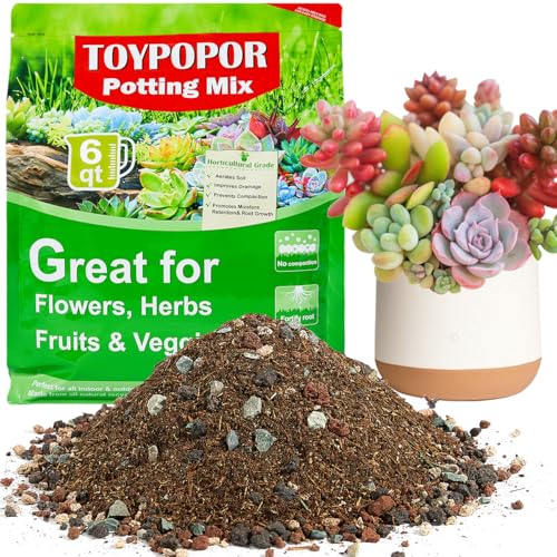 TOYPOPOR Succulent Soil, Cactus Potting Mix 7.5 Pounds/6QTS, High Drainage, Pre-Mixed Ready to Use for All Succulent Varieties, Indoor Plants, Bonsai, Terrarium, Houseplant, 30% Particles 70% Soil - color: 30% particles + 70% soil, size: 6 qt