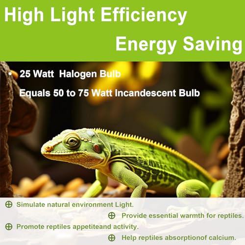 UVB UVA Reptile Light Bulb 25W Bulb for Reptiles and Amphibians Tanks, Turtle Bearded Dragon Lizard Cages Frogs Heat Lamp Replacement Bulb, Pack of 6