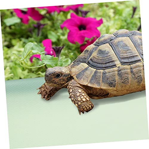 Reptile Carpet Lizard Bedding Mat Eva Non- Substrate Liner for Leopard Tortoise Snake and Lizard Terrariums Soft and Safe for Reptiles - color: Light Green