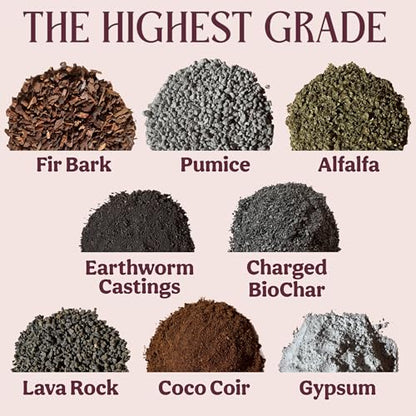 Craft Organic Houseplant Potting Mix, Elite House Plant Soil, Chunky, Well Draining Potting Soil for All Indoor Plants, Tropical Plants & Flowers, Sustainable & Peat Free, Less Prone to Gnats, 12QT - size: 12 quarts