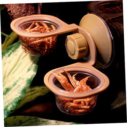 BESPORTBLE 2pcs Wall-Mounted Lizard Feeding Basin Automatic Reptile Pet Feeder Water Dish for Reptiles Like Gecko Snake Turtles Safe Material