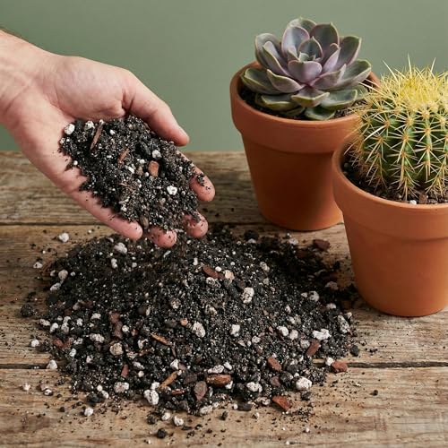 The Soil Sage 5 Dry Qt Cactus & Succulent Potting Soil Mix, USA Made - Gritty, Fast Draining, Soilless, Root Boosting, Peat-Free - Growth of Cactus, Succulents, Jade, Aloe Vera (5 Qt) - size: 5 Qt