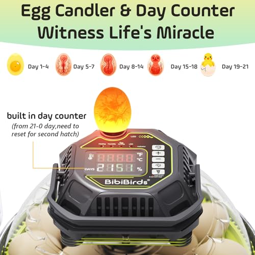 18 Egg Incubator with Automatic Egg Turning Day Counter and Atomizer for Auto Humidity Control, Full Auto Turner Lock 3 Days Before Hatch, Hatching 18Chicken 12Duck 30Quail at Backyard - size: 18 Egg