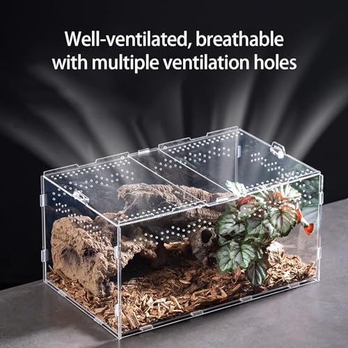 Clear Acrylic Reptiles Tanks with Ventilation Holes Terrarium Box for Small Lizards and Snake Jumping Spiders Watching Reptiles Container Box - size: 10X10X10 vertical
