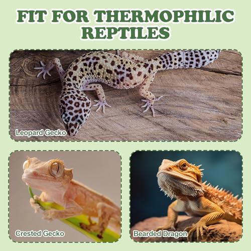 Basking Platform for Bearded Dragons, Bearded Dragon Hideout, Reptile Rock Basking Platform for Crested Gecko Leopard Gecko Turtle Lizard (White)