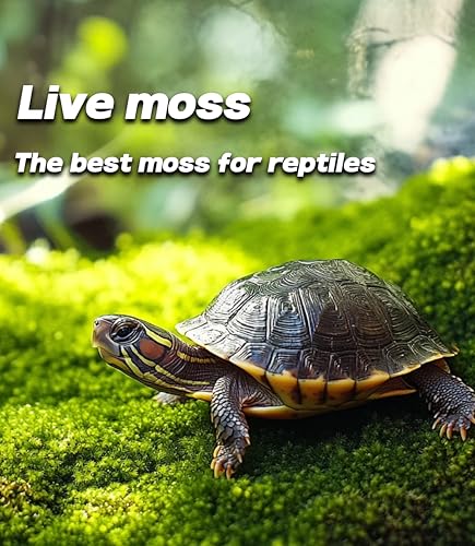 LUCKYRUNES Live Moss for Terrarium Bedding & Reptile Enclosures | Moisture-Holding Layer, Humid Hide Accent, Forest-Floor Look, Easy to Trim, For Frogs, Geckos, Turtles, Snakes
