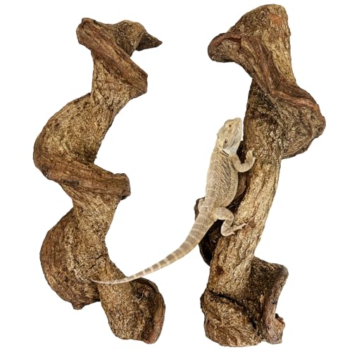 Reptile Climbing Decor 2 Pack Thick Wood Branches Snake Habitat Decorations Terrarium Wooden Tree Trunk Ornament for Bearded Dragon Lizard Snake Geckos Chameleon Frog - color: Wood, size: 14-16 inches
