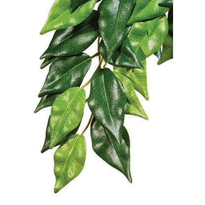 Exo Terra Silk Terrarium Plant, Medium, Ficus - color: Multi Color, size: Medium
