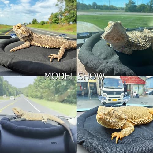 SEIS Bearded Dragon Mat for Car Lizard Sleeping Bed Adsorbed on Glass Jar 13.4"x 10.6" Reptile Carpet Floor Liner for Gecko Chamelon Turtles Lguana Guinea Pig Hamster Rabbit Chinchilla (Black)