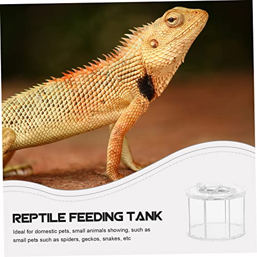 Sosoport Acrylic Reptile Viewing Box Breeding Container for Turtles Spiders Snakes Crabs