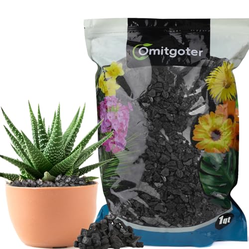 Horticultural Charcoal 1qt for Plants, Actived Charcoal Terrarium Supplies, Suitable for Indoor Plants, Succulent, Orchid, Cactus, Bonsai - color: Horticultural Charcoal, size: 1qt