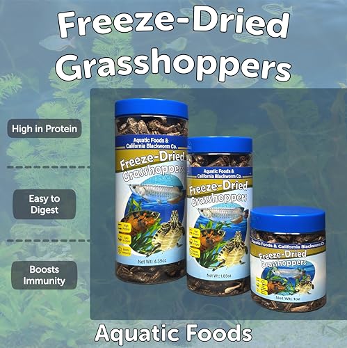 Grasshoppers, Freeze Dried Grasshoppers for Large Tropical Fish, Monster Fish, Reptiles, Turtles, Tortoises, Frogs, Hamsters, Birds, Rodents 2.3oz Canister - size: 2.3 Ounce (Pack of 1)