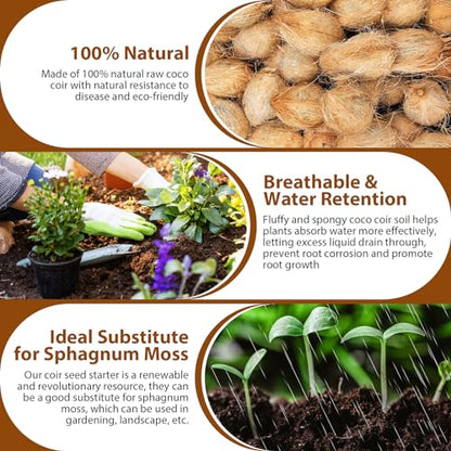 Legigo Pack of 10 Organic Coco Coir Bricks- 100% Natural Compressed Coco Peat Brick Coconut Fiber Substrate with Low EC&pH Balance, Plant Soil Enhance Root Growth for Herbs, Flowers, House Plants - color: Pack of 10