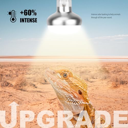 Reptile Heat Lamp, 2 Pack 75W Intense Basking Bulbs Light for Reptiles, UVA Daylight Basking Light for Bearded Dragon, Lizard, Gecko,Turtle, Reptile Heat Bulb - color: 2-pack Reptile Heat Bulb