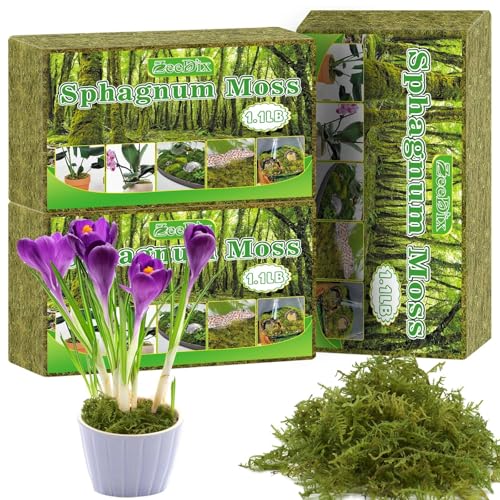 ZeeDix 3-Pack Premium Sphagnum Moss - 3.3 lb Orchid Moss Plant Growing Medium for Terrariums, Orchids, Carnivorous, Succulents & Reptile Habitat Substrate - color: 3 pack