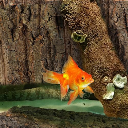 Alipis Cork Bark: 4pcs Natural Tree Bark Flats - Cork Terrarium Background Reptile Climbing Platform for Gecko Lizard Frog Bearded Dragon Climbing Wall Accessory